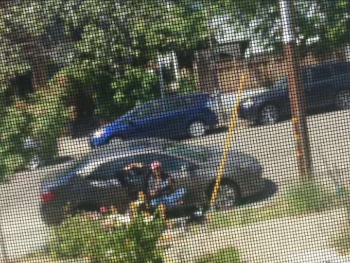 The author and her family, as seen from her mother's view through the screen of her home, on Mother's Day 2020.