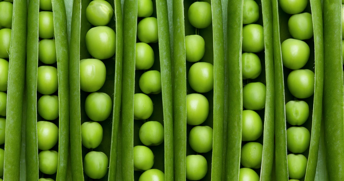 Pea Protein Is Causing A Mighty Problem For People With Allergies