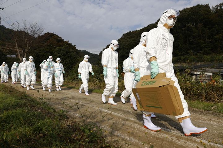 Αξιωματούχοι με προστατευτικές στολές κατευθύνονται σε μια φάρμα πουλερικών για ένα ύποπτο κρούσμα γρίπης των πτηνών στην δυτική Ιαπωνία.