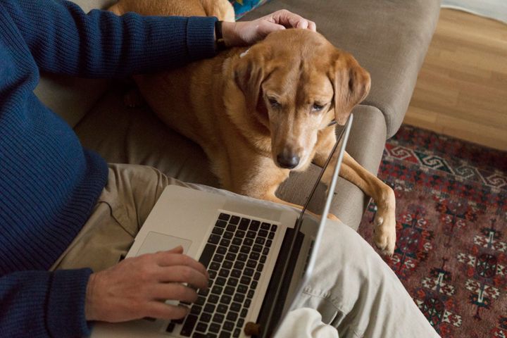Some readers said working from home gave them the ability to provide for pets with terminal illnesses.