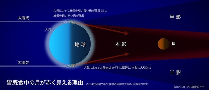 皆既月食で月が赤く見える理由の図解