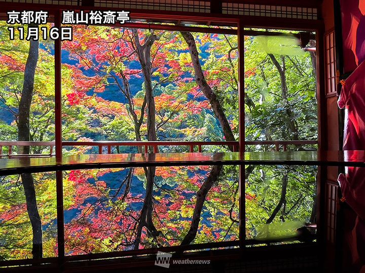 京都府・嵐山 紅葉の様子(11月16日)
