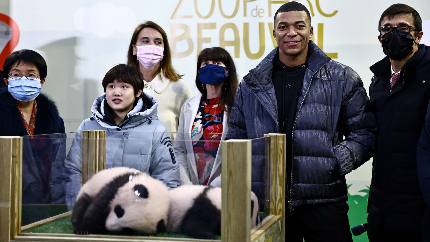 Zoo de Beauval: les bébés pandas ont été baptisés Yuandudu et Huanlili