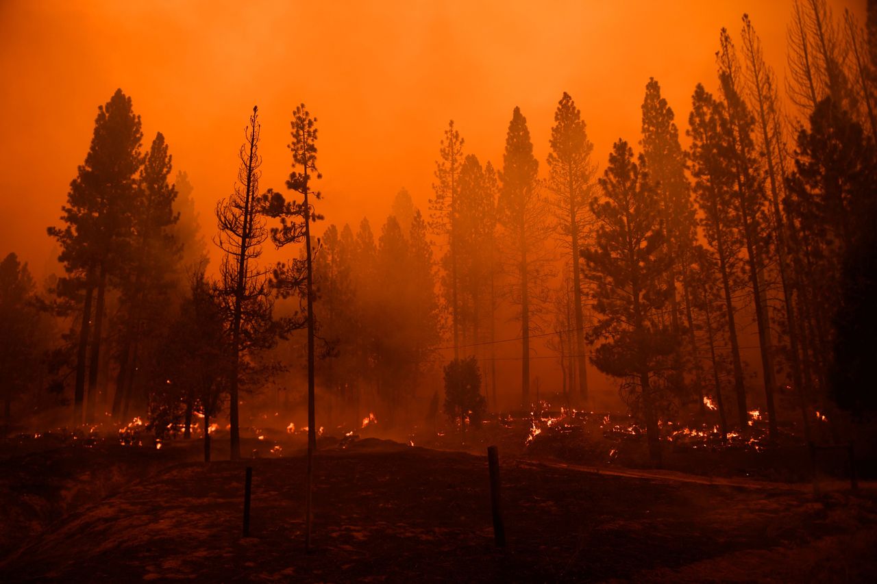 The Windy fire in the Sequoia National Forest near Johnsondale, California, burned nearly 100,000 acres.