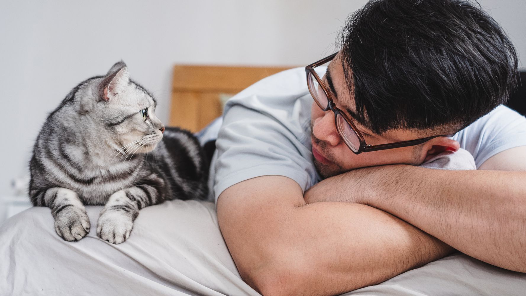 Are You A First Time Cat Owner? These Items Will Make You And Your Cat Happier