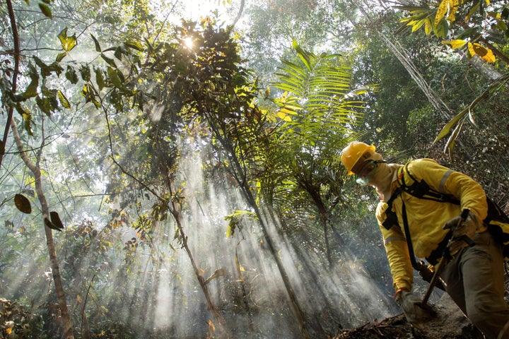 Amazonia.