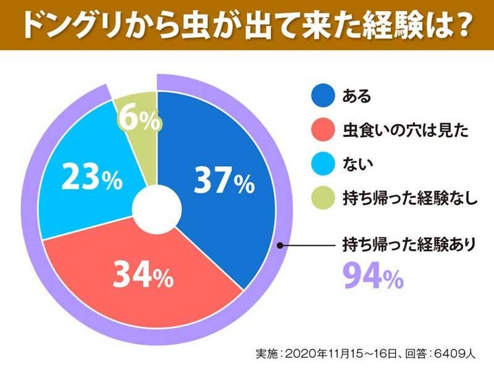 アンケート結果