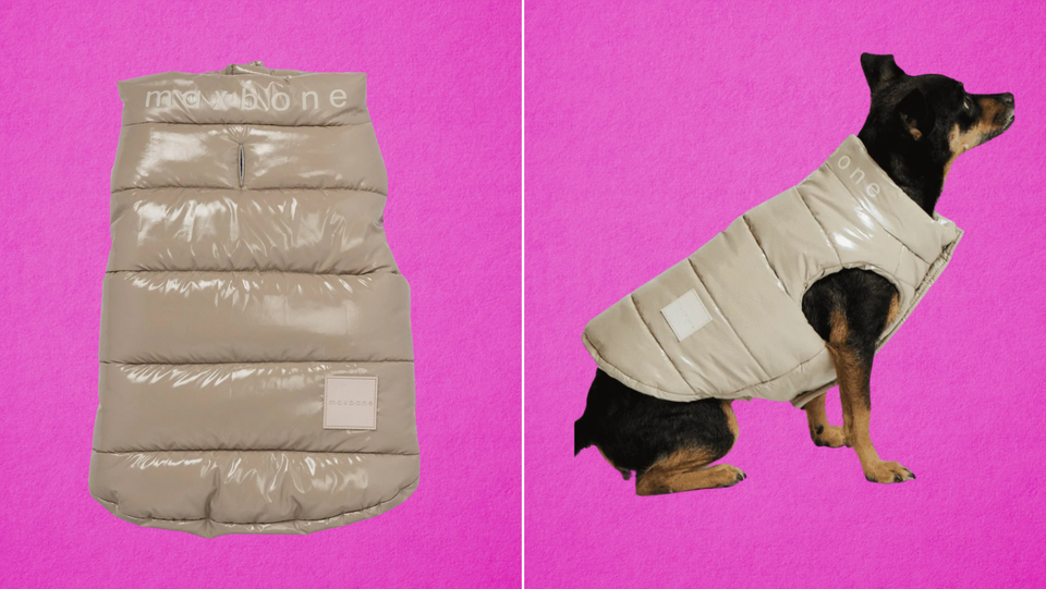 Short Puffer Coat - Dog/Cat Snowsuit Luxury Jacket