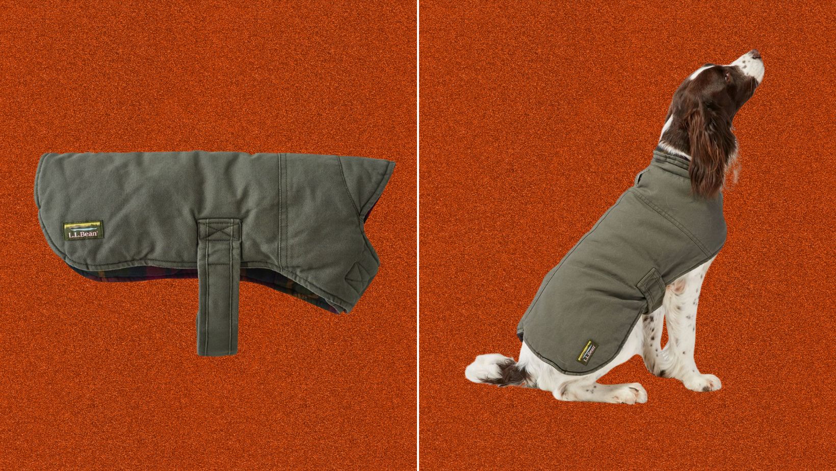 dog field coat