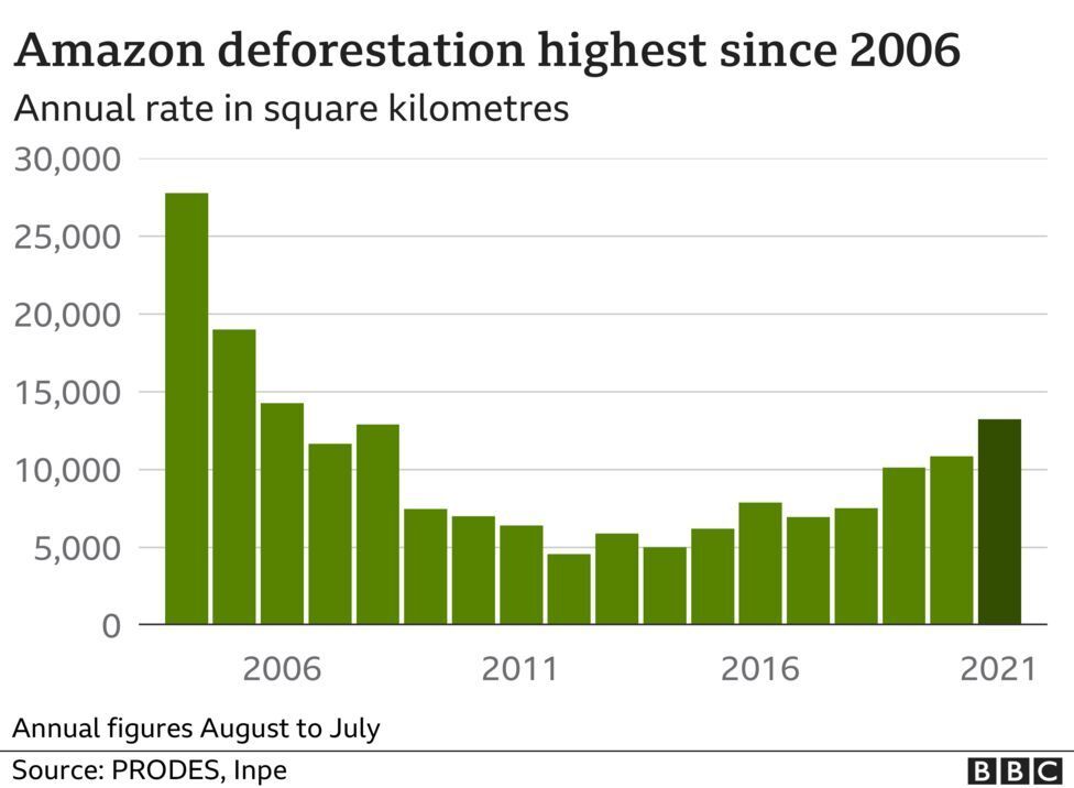 To ποσοστό αποψίλωσης σε τετραγωνικά χλμ. του τροπικού δάσους του Αμαζονίου ανά έτος