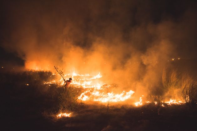 インド・ニューデリーで、少年が自宅近辺の森林火災と戦っている。