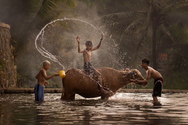 Children are at one with nature playing in a stream in Bogor, Indonesia, whilst washing an animal. Photographed by Jozef Macak