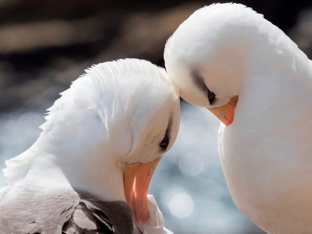 Η κλιματική αλλαγή προκαλεί διαζύγια στα