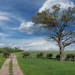 Μποτσουάνα: Δέκα πληροφορίες για την αφρικανική χώρα που μπαίνει στη ζωή μας μέσω