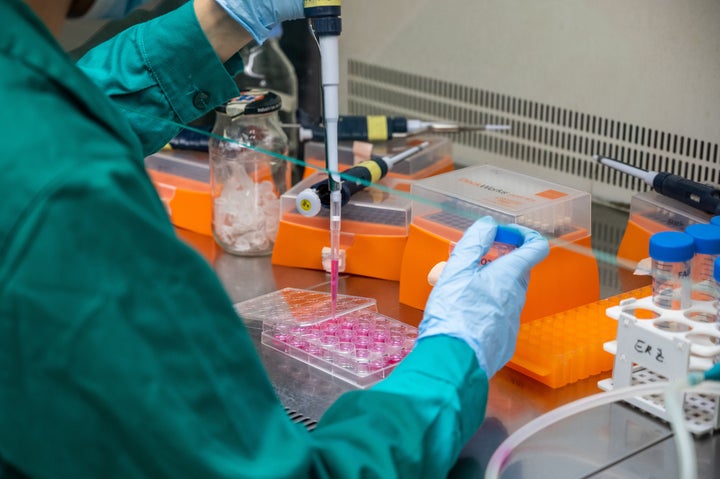 Un cultivo de células de una investigación sobre el coronavirus de un centro del CSIC, en una foto de archivo.