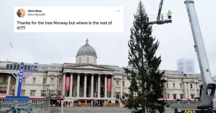 The Christmas tree in Trafalgar Square this year