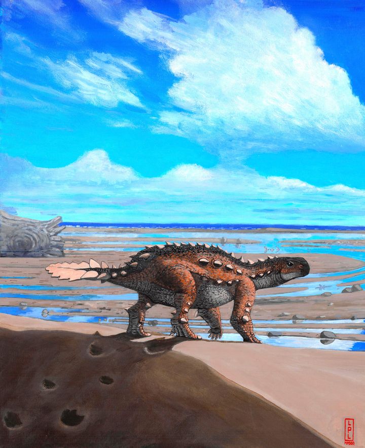 Fossils found in Chile are from the bizarre dog-sized dinosaur species that had a unique slashing tail weapon, scientists reported Wednesday.