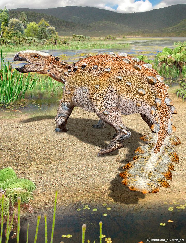 A cauda provavelmente servia para defesa contra grandes predadores, que também foram desligados por ossos semelhantes a uma armadura projetando-se para fora, disseram os cientistas.