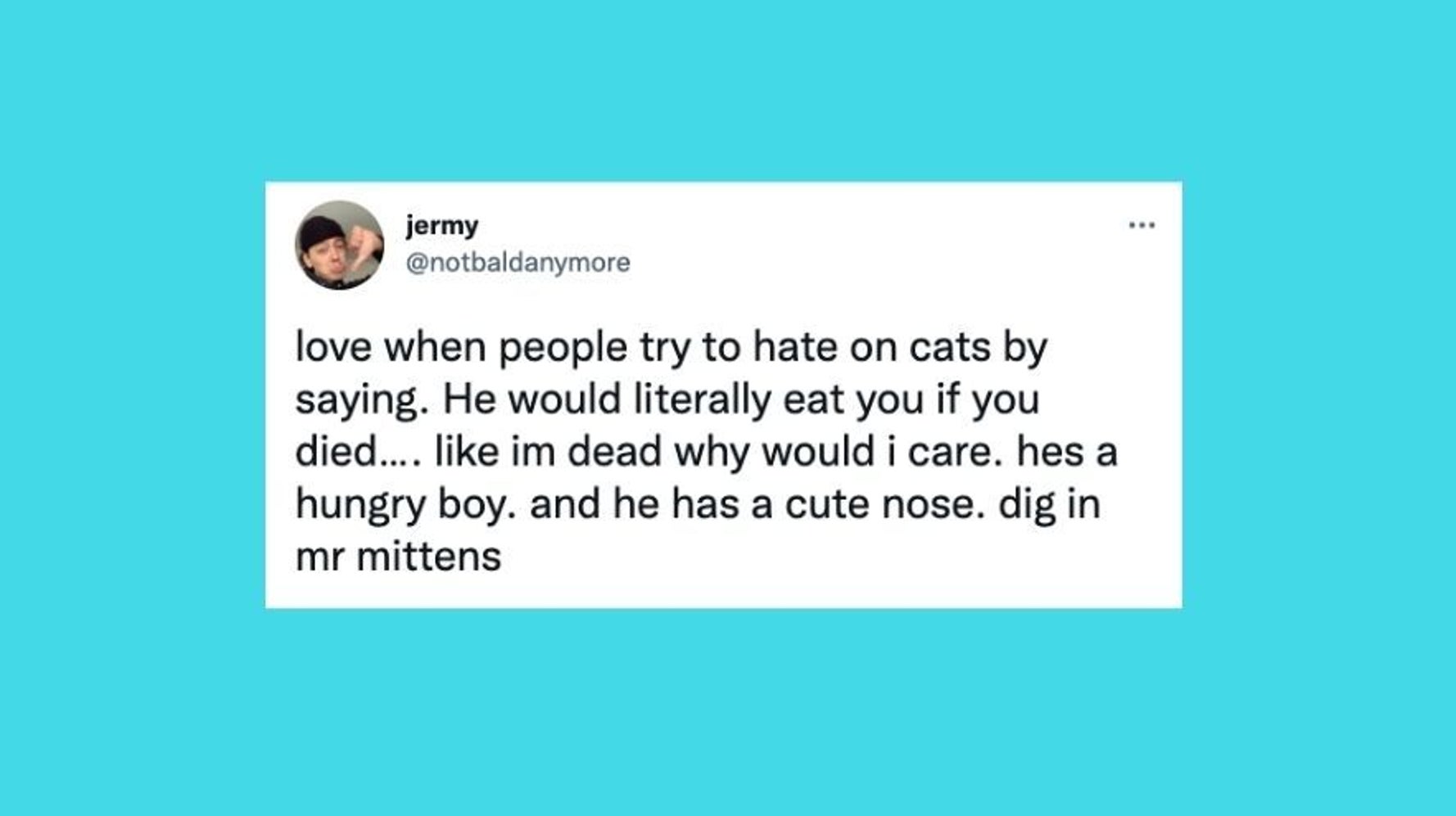 23 Of The Funniest Tweets About Dogs And Cats This Week 23 Of The Funniest Tweets About Dogs And Cats This Week