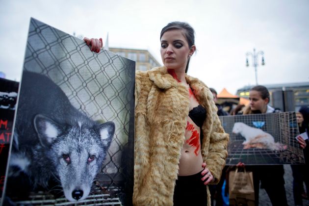동물보호단체 시위