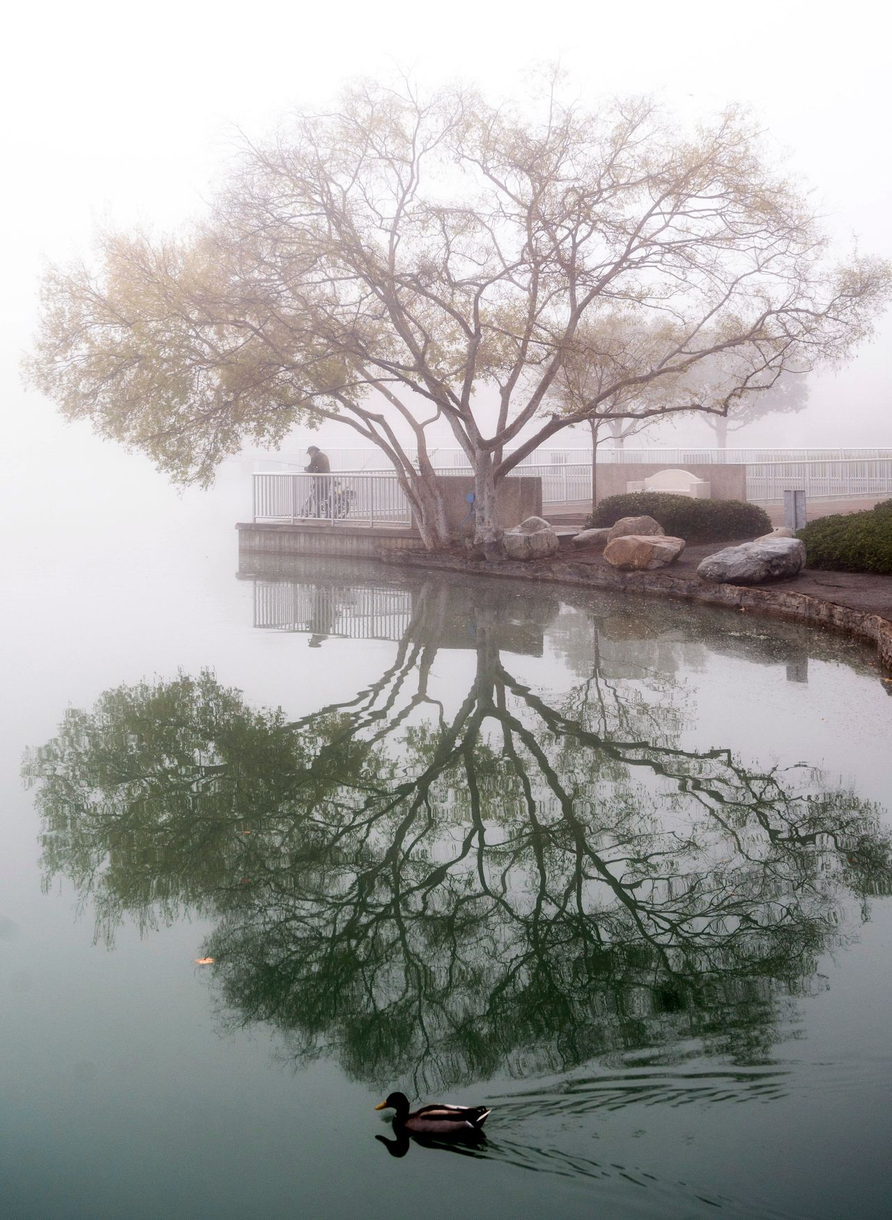 A man fishes during a foggy morning at North Lake in Irvine, California, on Tuesday.