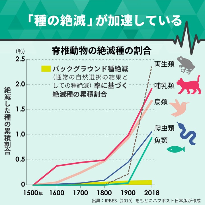 「種の絶滅」が加速している