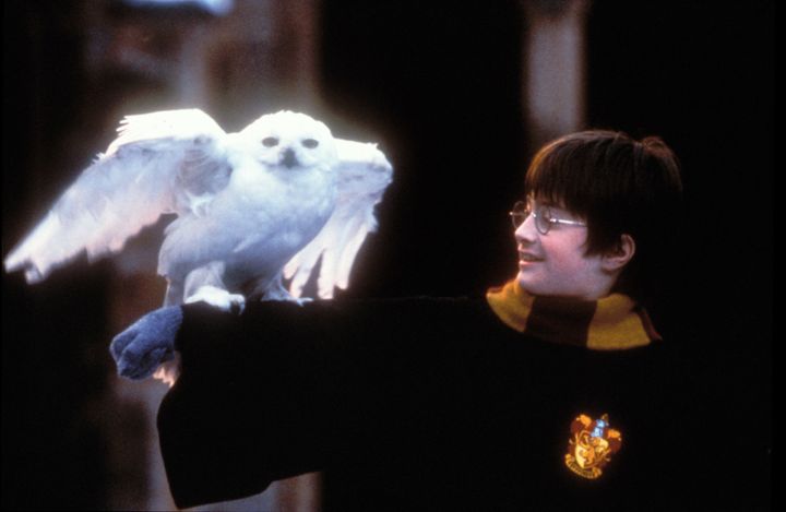 It's been 20 years since Harry Potter And The Philosopher’s Stone was released
