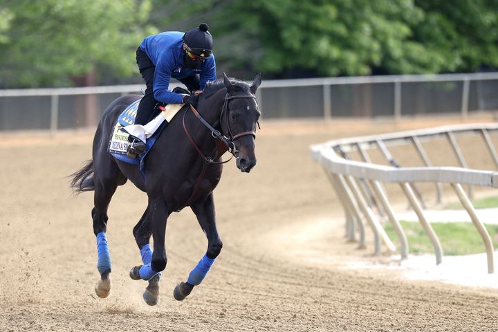 Exercise rider Humberto Gomez takes Kentucky Derby winner Medina Spirit over the track during a training session for the upcoming Preakness Stakes at Pimlico Race Course on May 12, 2021 in Baltimore, Maryland.
