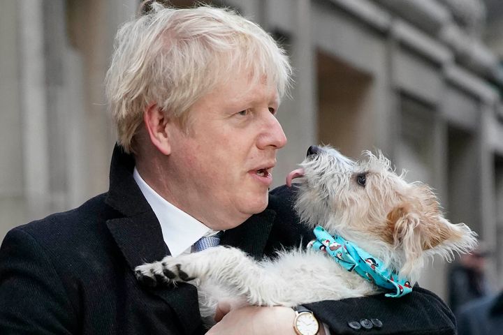 Prime Minister Boris Johnson with his own dog Dilyn.