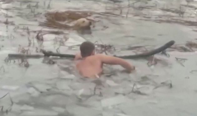 Αστυνομικοί στην Ισπανία σώζουν σκύλο βουτώντας στα παγωμένα νερά δεξαμενής