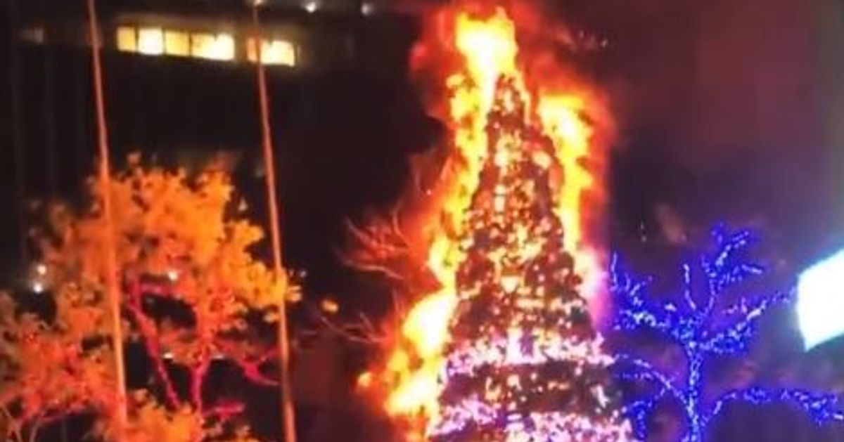 Fox News giant Christmas tree set on fire in New York