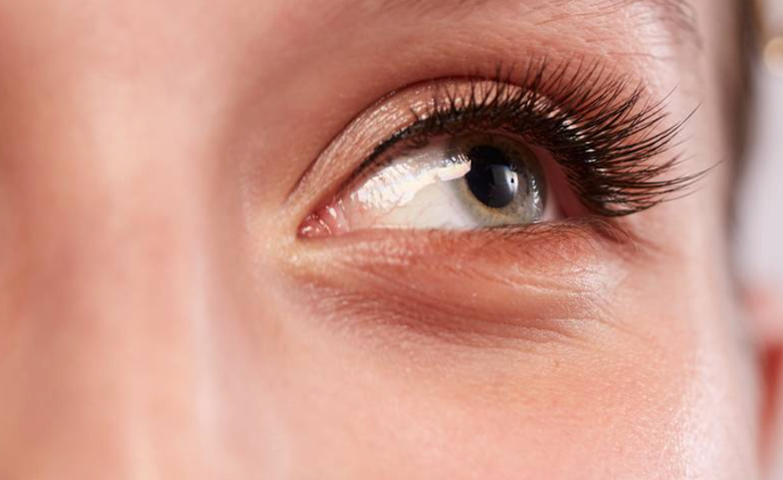 <a href="https://go.skimresources.com/?id=38395X987171&xs=1&xcust=bestbeauty2021-KristenAiken-120821-&url=https%3A%2F%2Floveseen.com%2Fproducts%2Ftroi%3Fvariant%3D32226241740862" target="_blank" role="link" rel="sponsored" class=" js-entry-link cet-external-link" data-vars-item-name="Loveseen in Troi" data-vars-item-type="text" data-vars-unit-name="61b16ffee4b04ae319fa3d7a" data-vars-unit-type="buzz_body" data-vars-target-content-id="https://go.skimresources.com/?id=38395X987171&xs=1&xcust=bestbeauty2021-KristenAiken-120821-&url=https%3A%2F%2Floveseen.com%2Fproducts%2Ftroi%3Fvariant%3D32226241740862" data-vars-target-content-type="url" data-vars-type="web_external_link" data-vars-subunit-name="article_body" data-vars-subunit-type="component" data-vars-position-in-subunit="27">Loveseen in Troi</a>