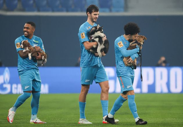 ピッチに犬を抱いて入場したFCゼニト・サンクトペテルブルグの選手たち（2021年12月3日撮影）