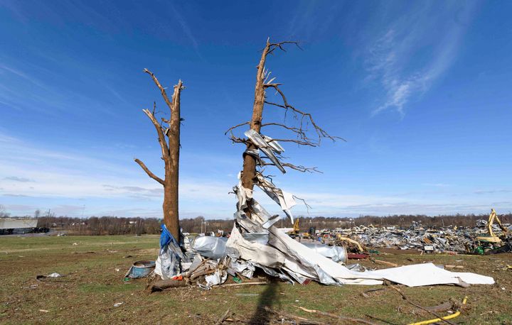 甚大な被害が出ているケンタッキー州メイフィールドで撮影。がれきが損傷した木に巻き付いている。