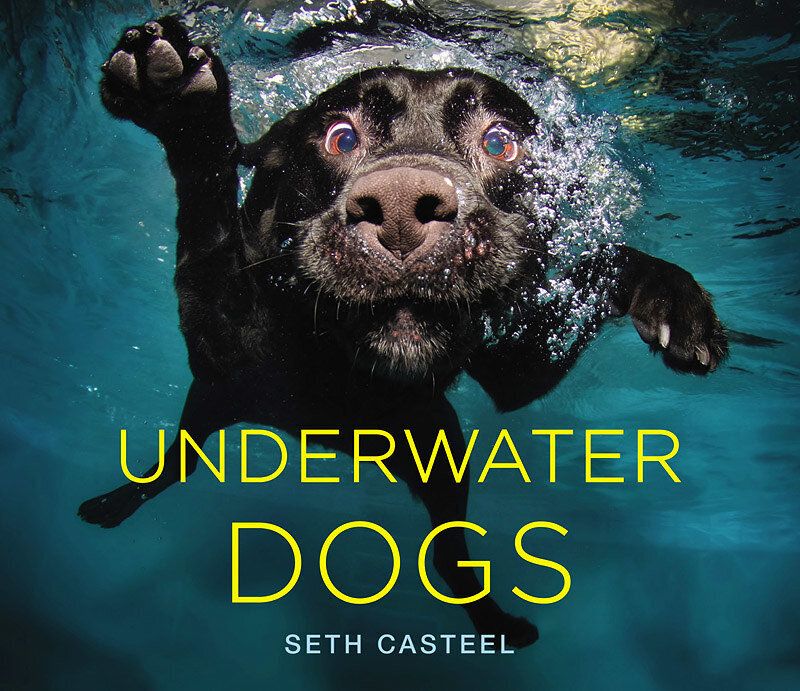 Underwater Dogs — a pawsitively adorable book filled with dogs under water.