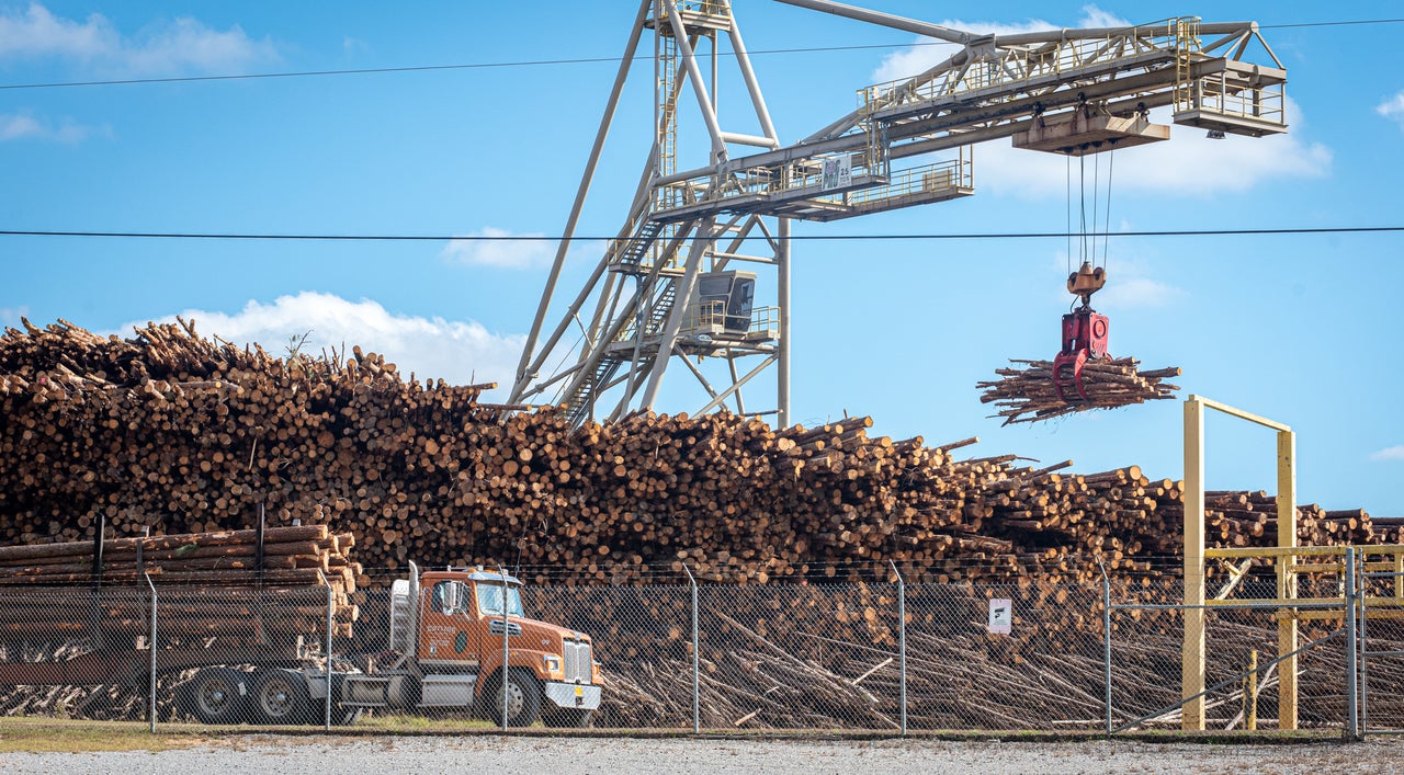 Drax Biomass, a multinational woodchip production company, operates a facility in Gloster that produces woodchips for the British heating market. Local residents are at odds with each other over the plant, which some say is making them sick, while others support the economic stability provided to local loggers who sell to the plant.