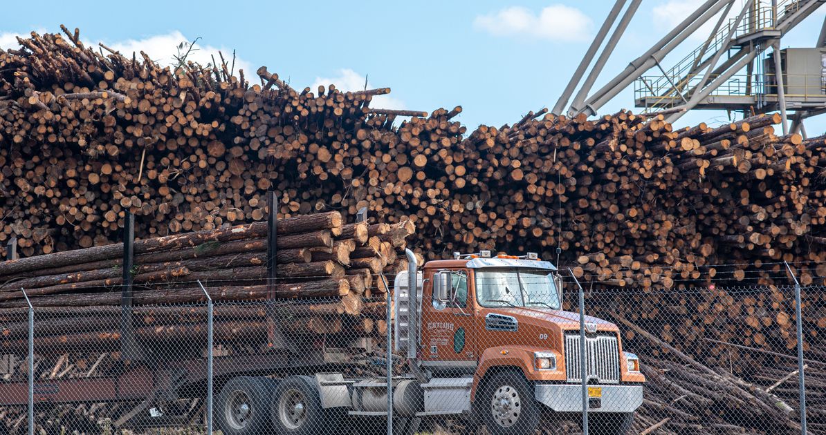 A ‘Green’ Energy Project Leaves A Mississippi Town Gasping For Air