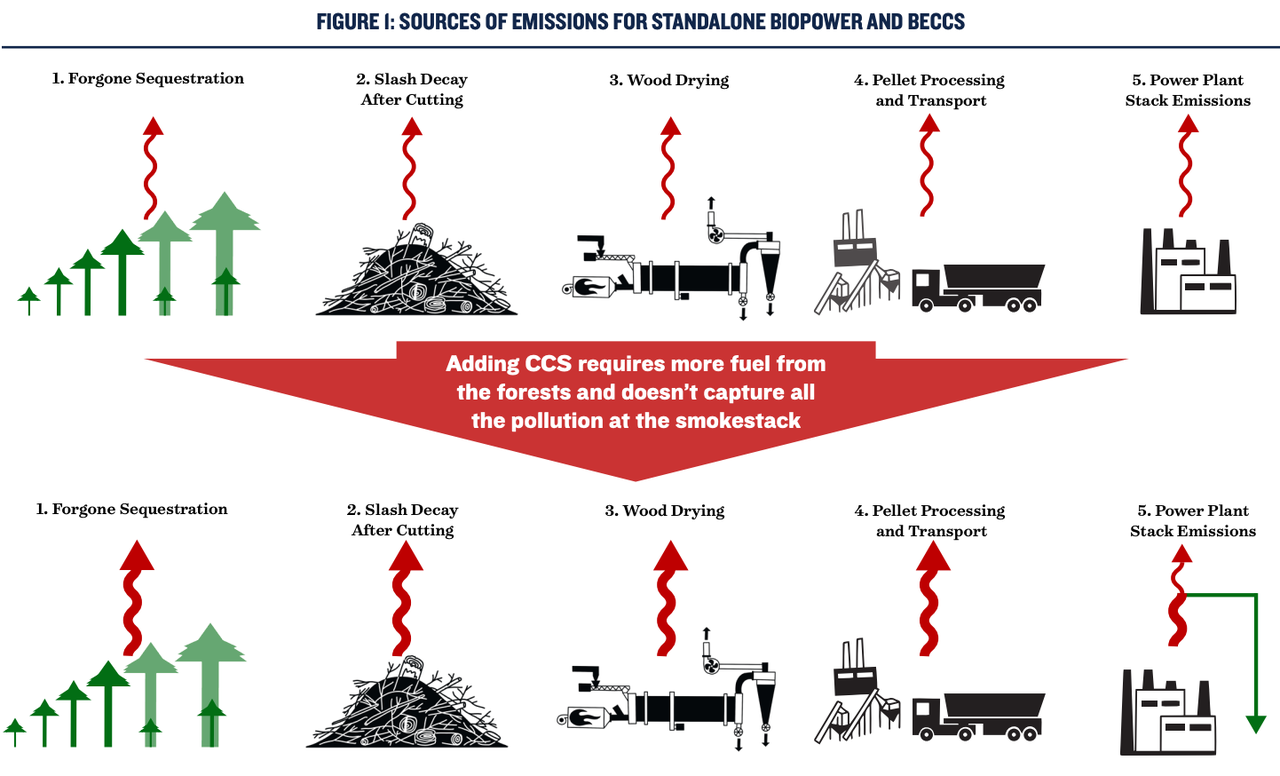 A chart from a recent Natural Resources Defense Council report shows the various ways biomass power emits carbon, even with technology to catch pollution at generating stations