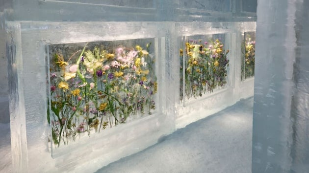 ICEHOTEL Sweden