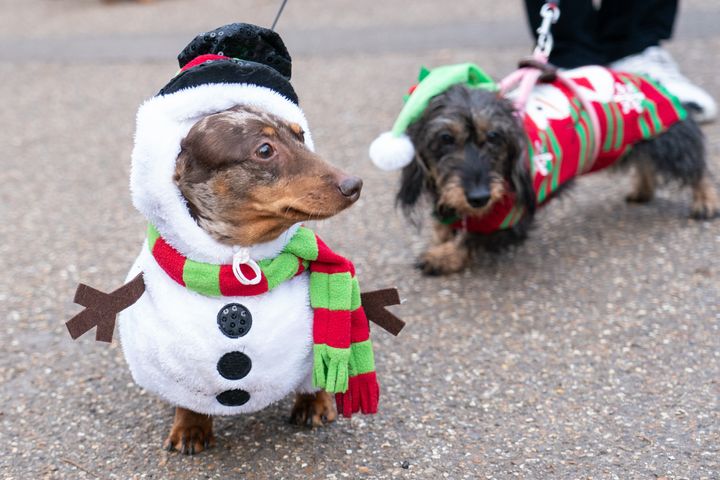 Bruno (left) dressed as a snowman.