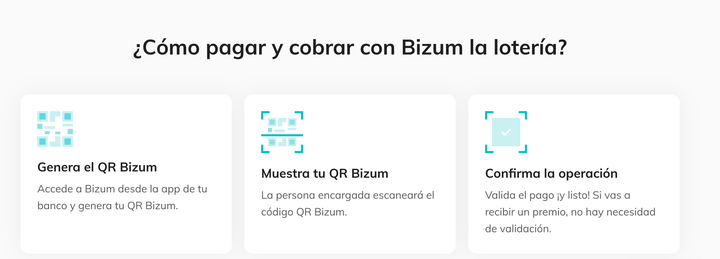 Captura de pantalla de la web de Bizum.