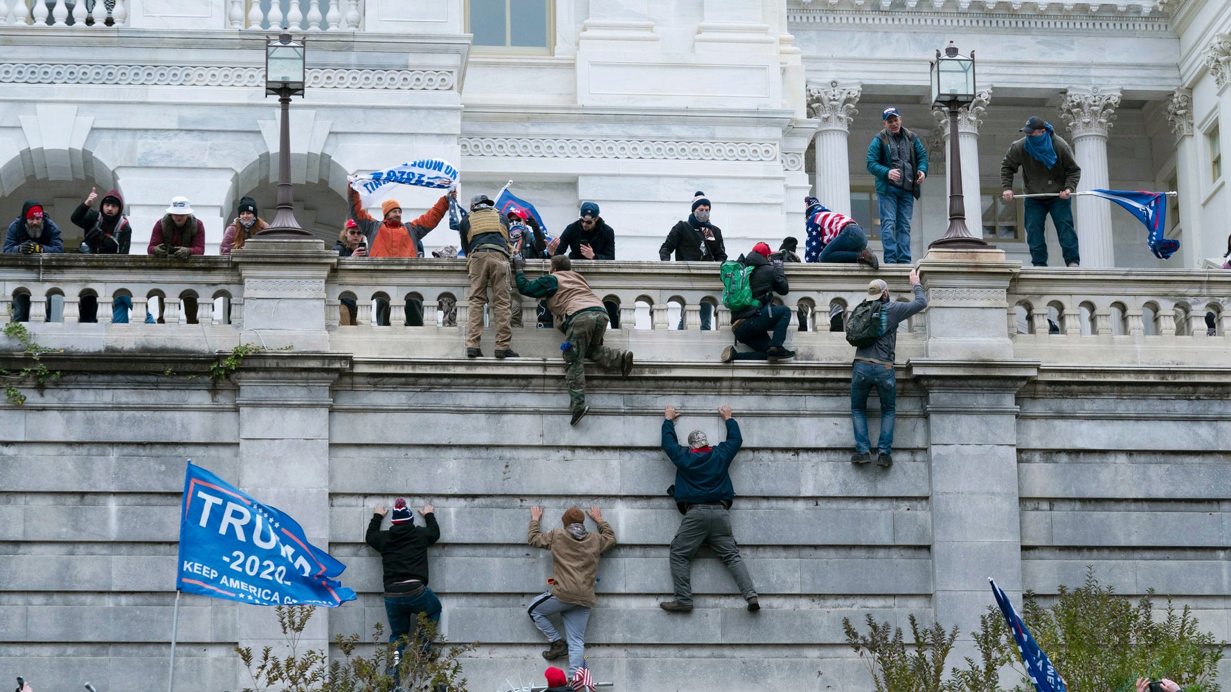 Proud Boy Pleads Guilty To Storming Capitol In Milestone Deal - Vimarsana News