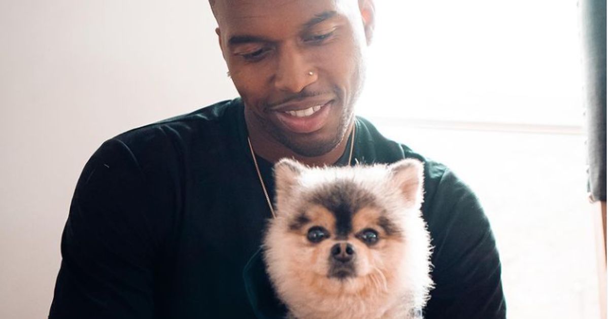 How English football player Daniel Sturridge’s dog found himself in the middle of a legal battle