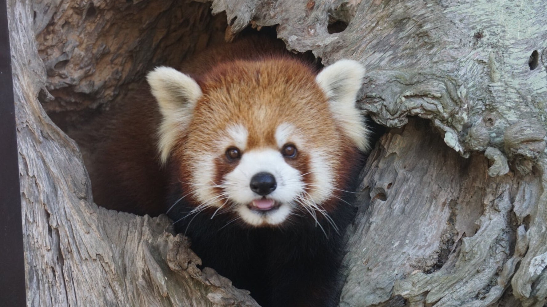 Vj Vyvt U936xm Vj Vyvt U936xm