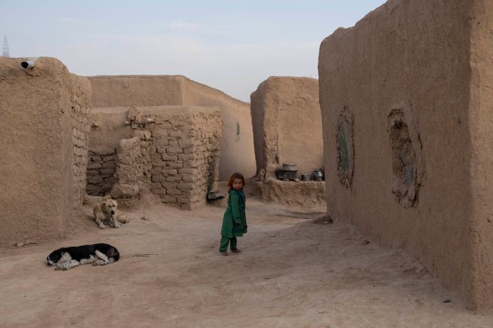 A young girl stand outside her home as two dogs lay on the ground in Kamar Kalagh village near Herat, Afghanistan, Saturday , Nov. 27, 2021. (AP Photo/Petros Giannakouris)