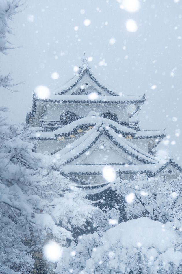 まりさんが12月26日にTwitterに投稿した彦根城の写真