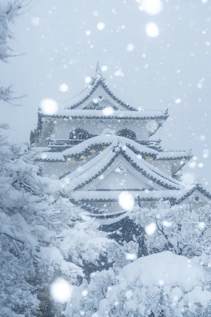 大雪に包まれた彦根城が 息をのむ美しさ 幻想的な姿に反響広がる 画像集 ハフポスト アートとカルチャー 大雪に包まれた彦根城が 息をのむ美しさ 幻想的な姿に反響広がる 画像集 ハフポスト アートとカルチャー