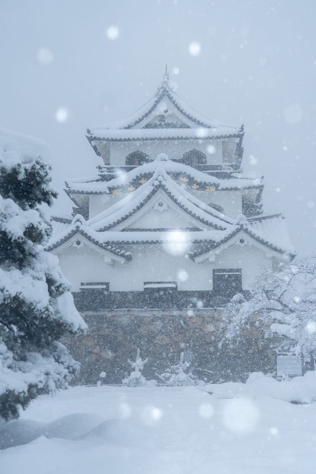 まりさんが12月26日に撮影した彦根城天守の別角度の写真