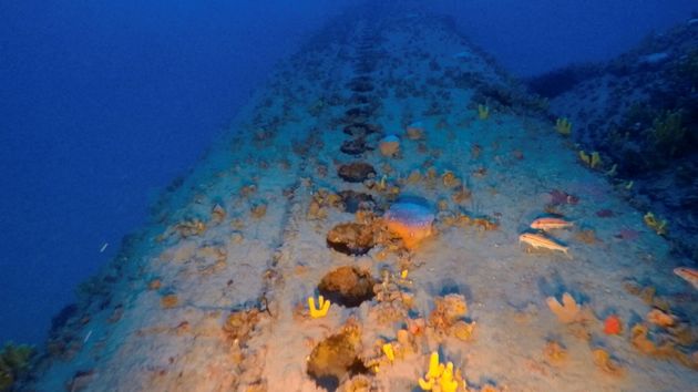 Ναυάγιο ιταλικού υποβρύχιου του Β' Παγκοσμίου Πολέμου εντόπισαν έλληνες δύτες ανοιχτά της