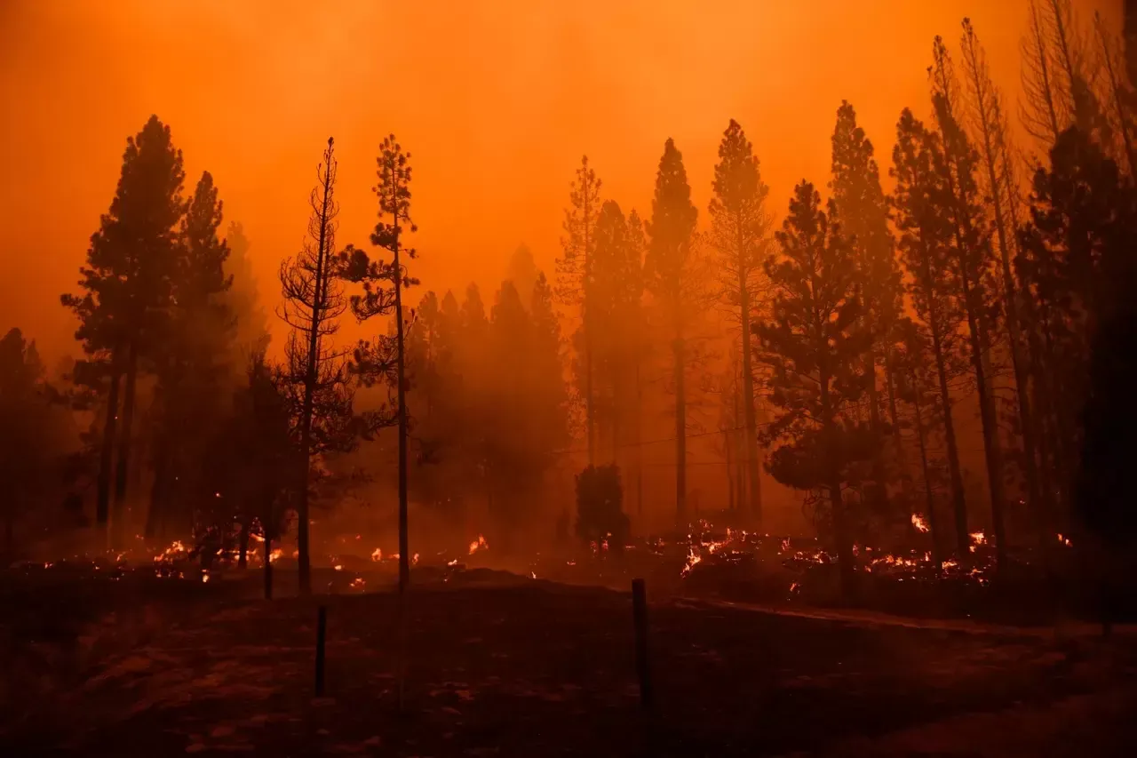 El incendio Windy en el Parque Nacional de Secuoyas de California quemó 40.000 hectáreas en septiembre.